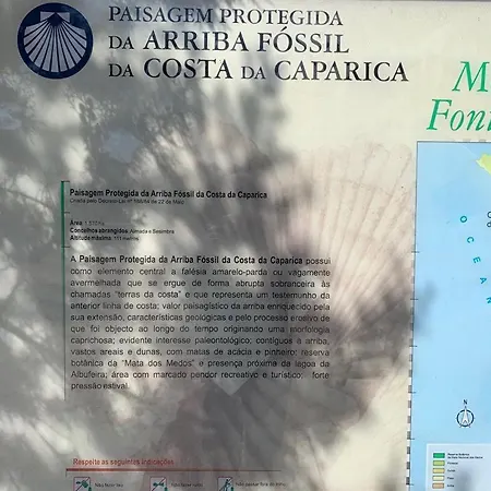 House Blz בית נופש *