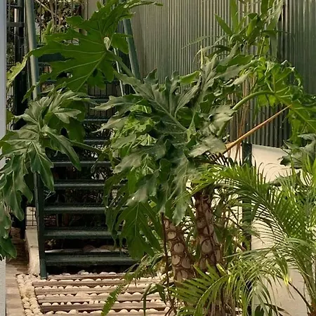 House Blz בית נופש *