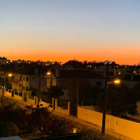 House Blz * שארנקה