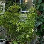 Σπίτι διακοπών House Blz *