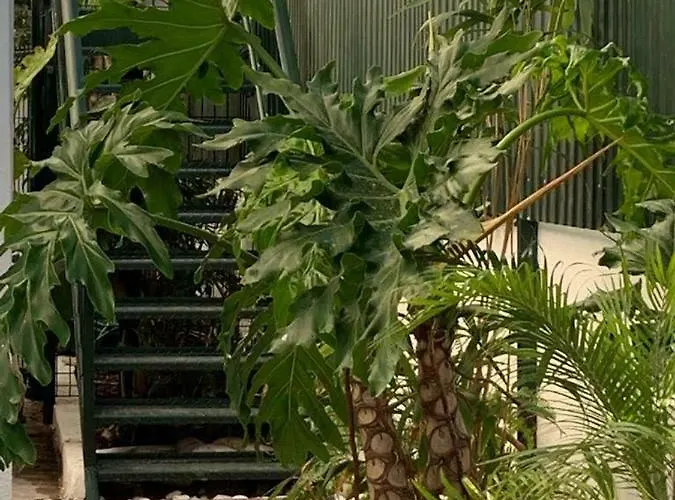 House Blz Casa vacanze *