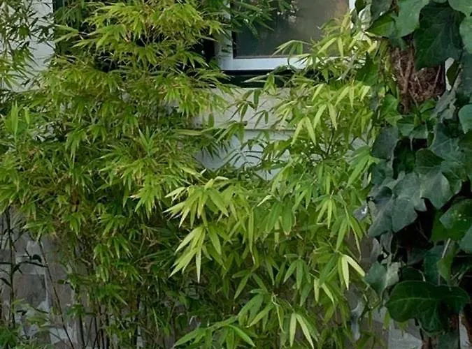 Casa vacanze House Blz *